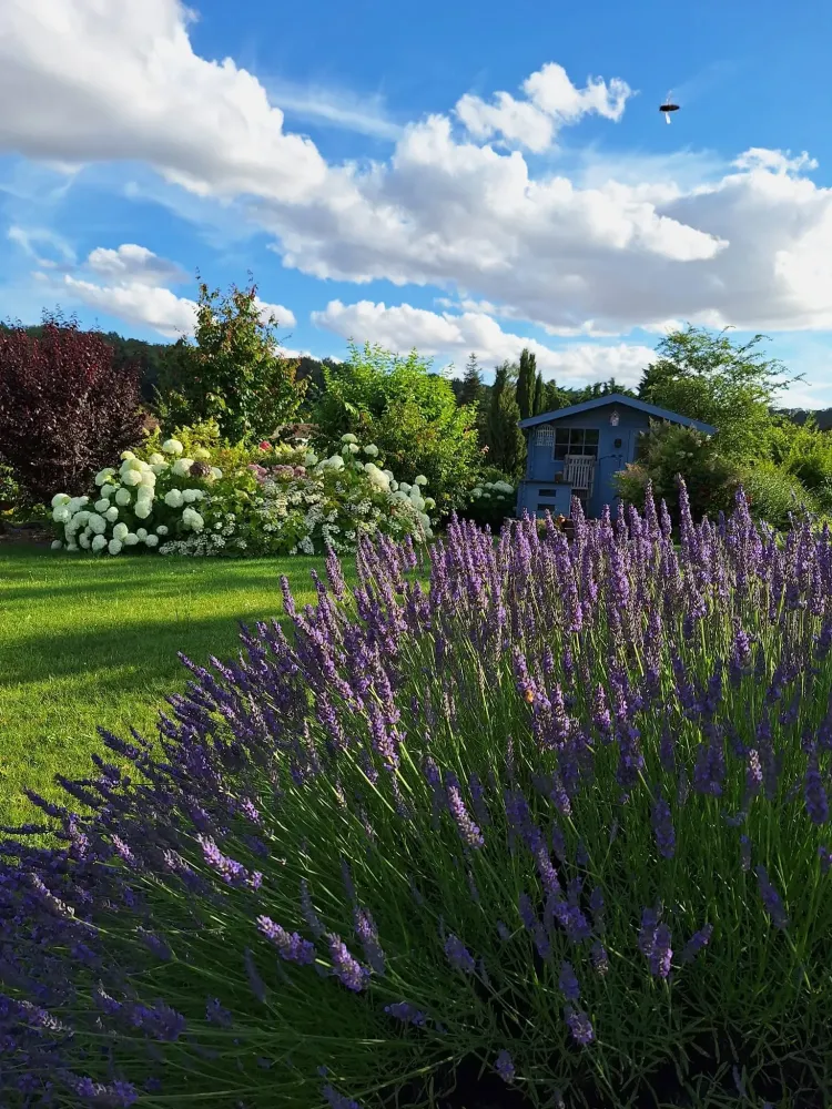 jardins sur mesure