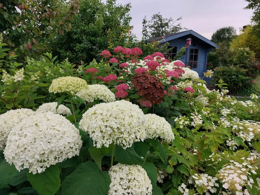 jardin prestations
