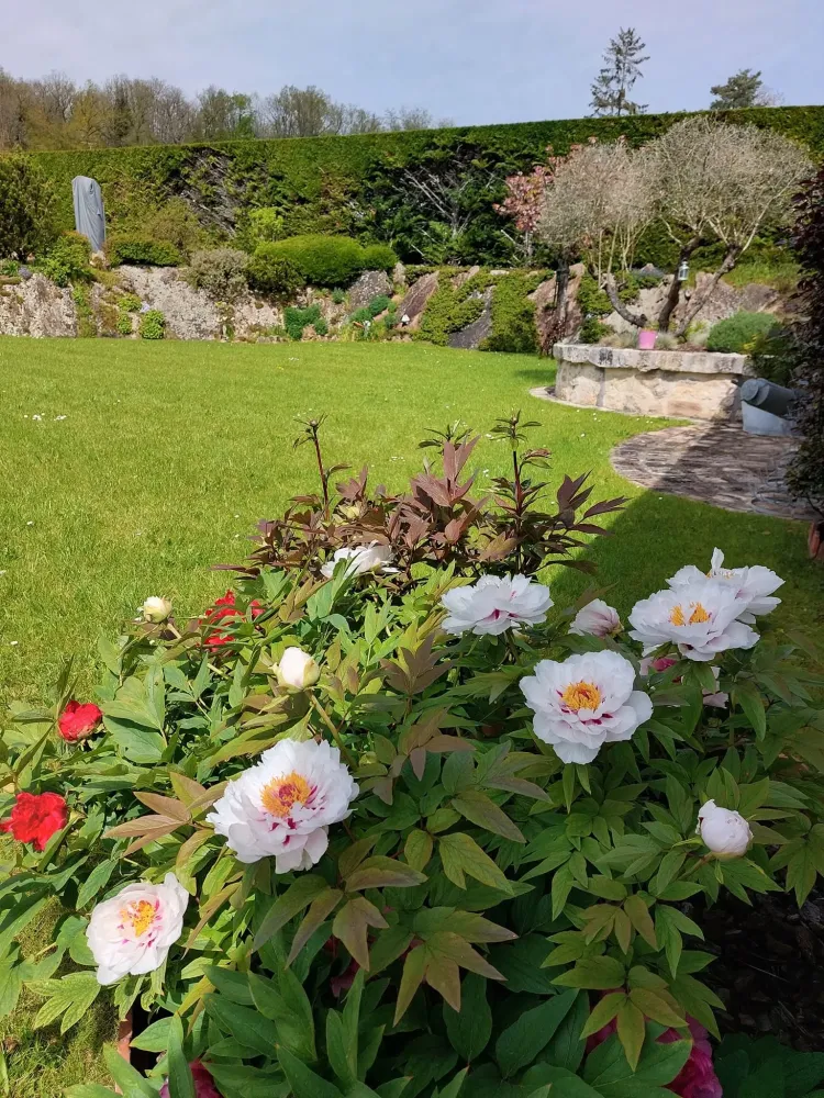 Entretenez votre jardin