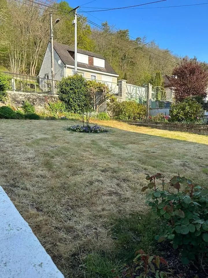 jardin entretien