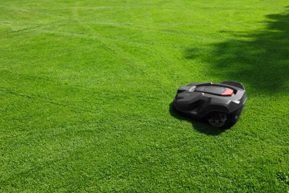 installation de Robot de tonte