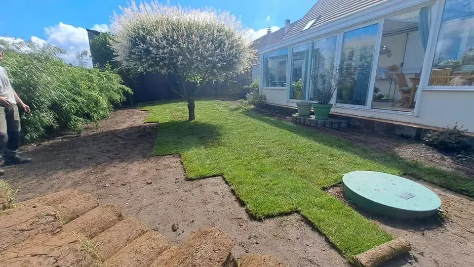 herbe syntétique après