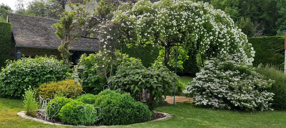 Création jardin